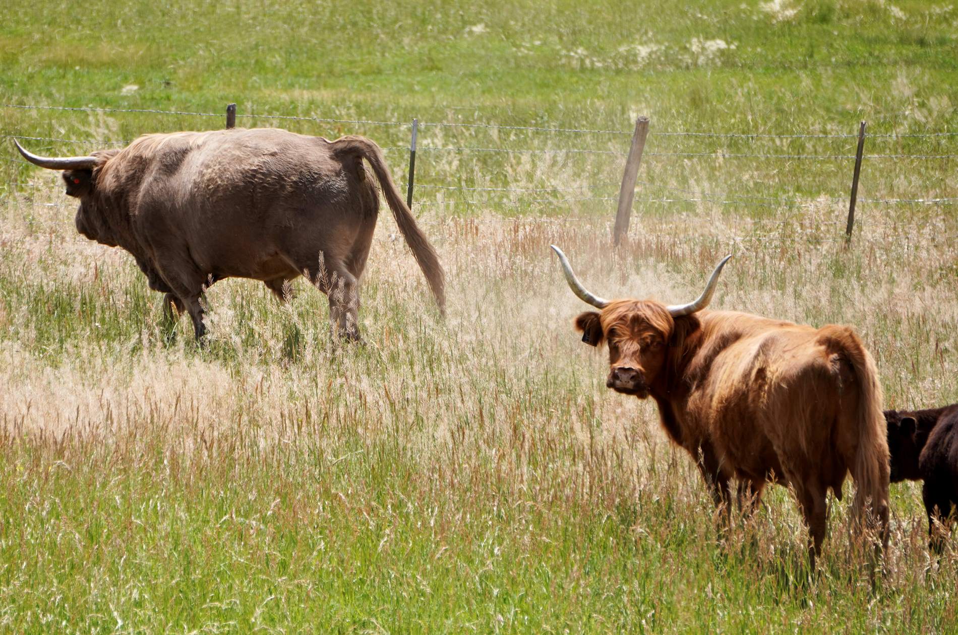 55945 OE Road, Collbran, CO 81624