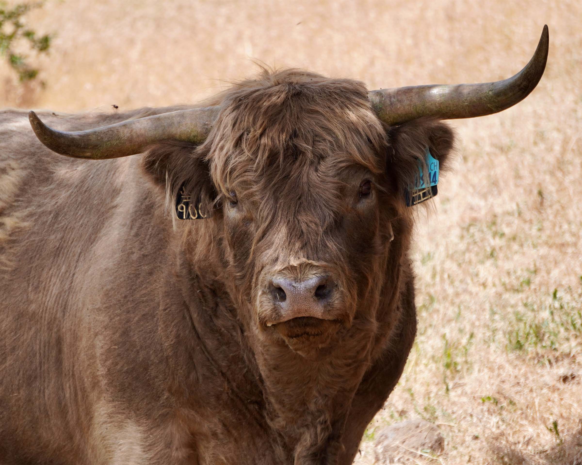 55945 OE Road, Collbran, CO 81624