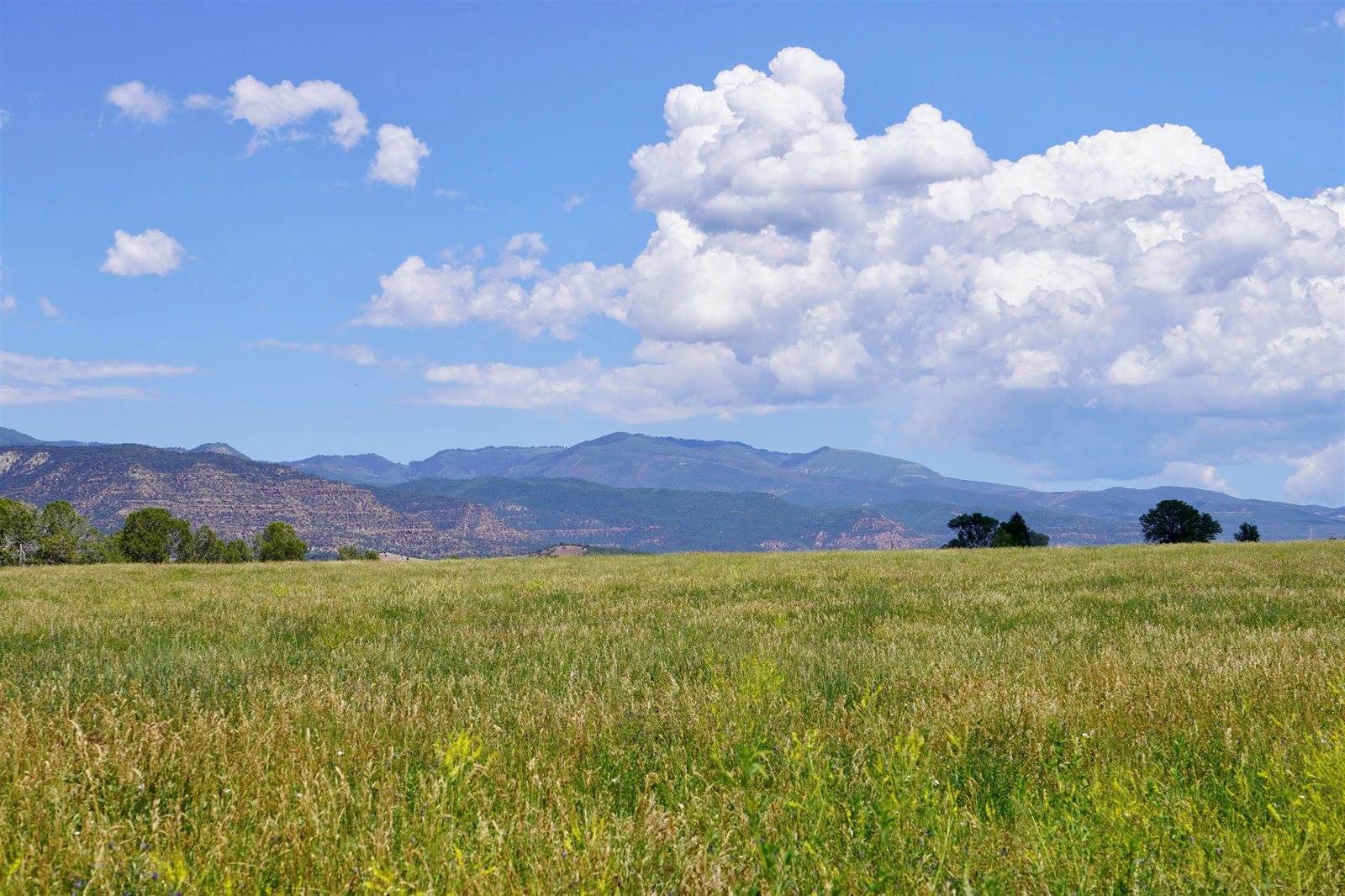 55945 OE Road, Collbran, CO 81624