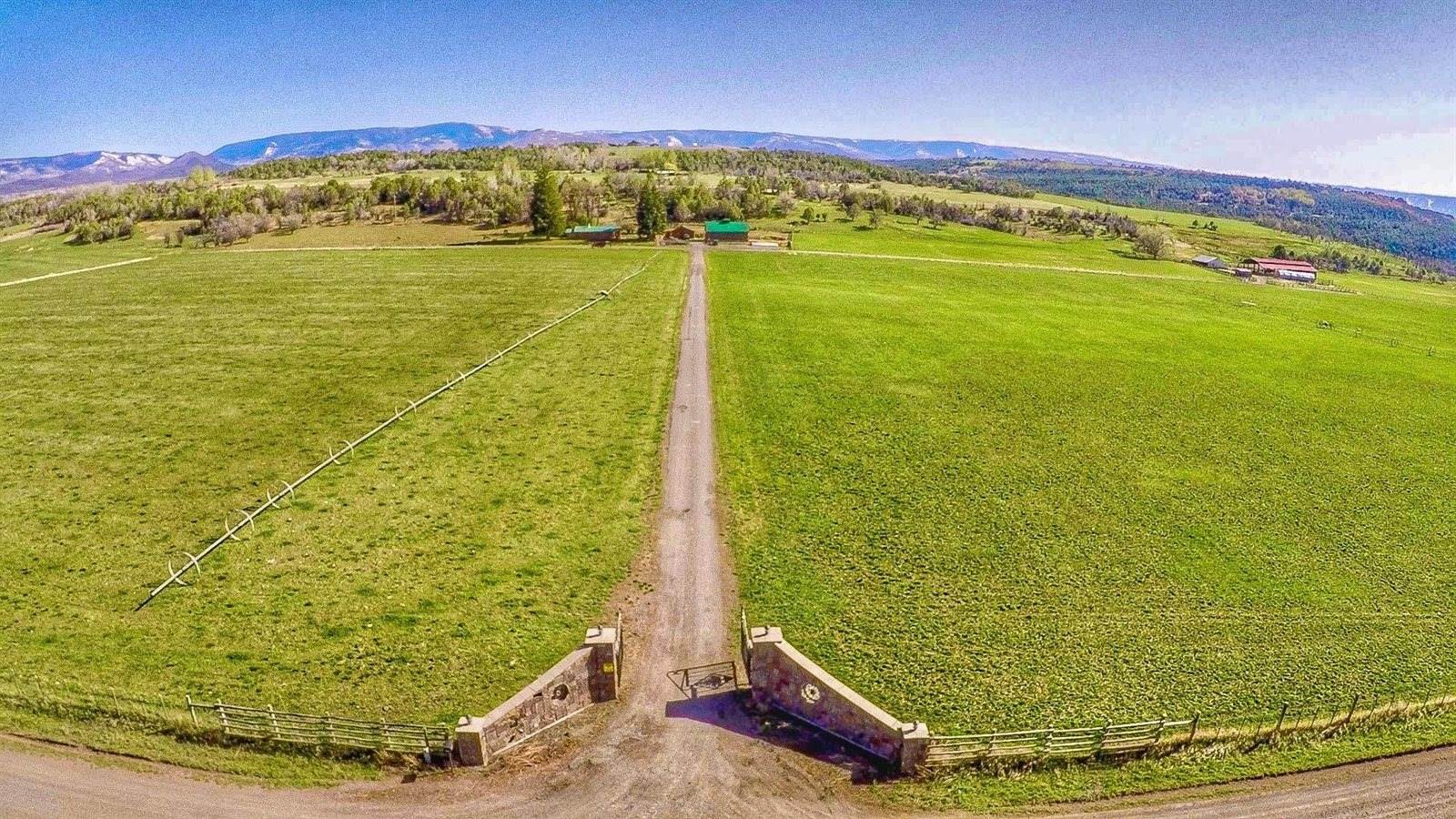 55945 OE Road, Collbran, CO 81624