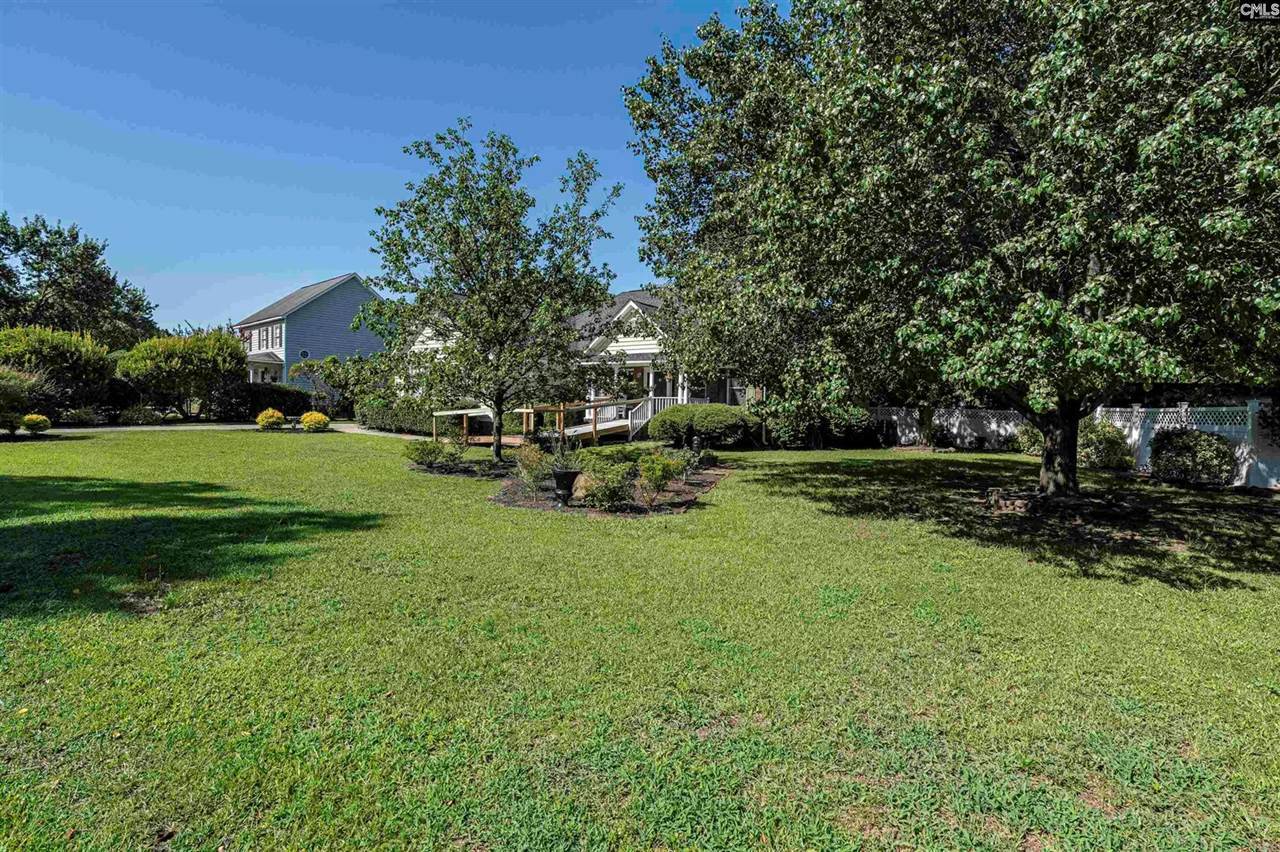 116 Putters, Lexington, SC 29072