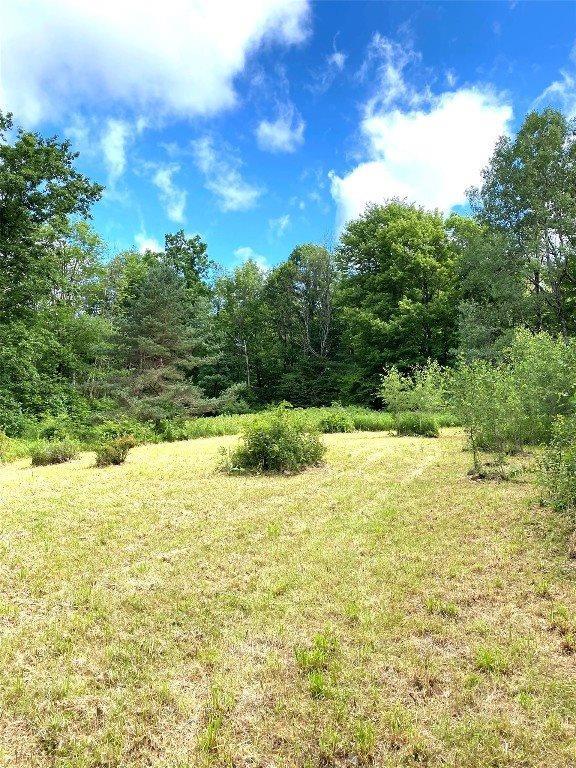 249 Hall Road, Afton, NY 13730