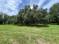 Harvey Lavigne Road, Ponchatoula, LA 70454