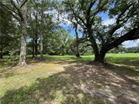 Harvey Lavigne Road, Ponchatoula, LA 70454