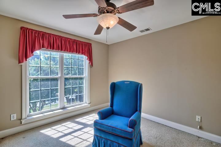 217 Hilton Village, Chapin, SC 29036