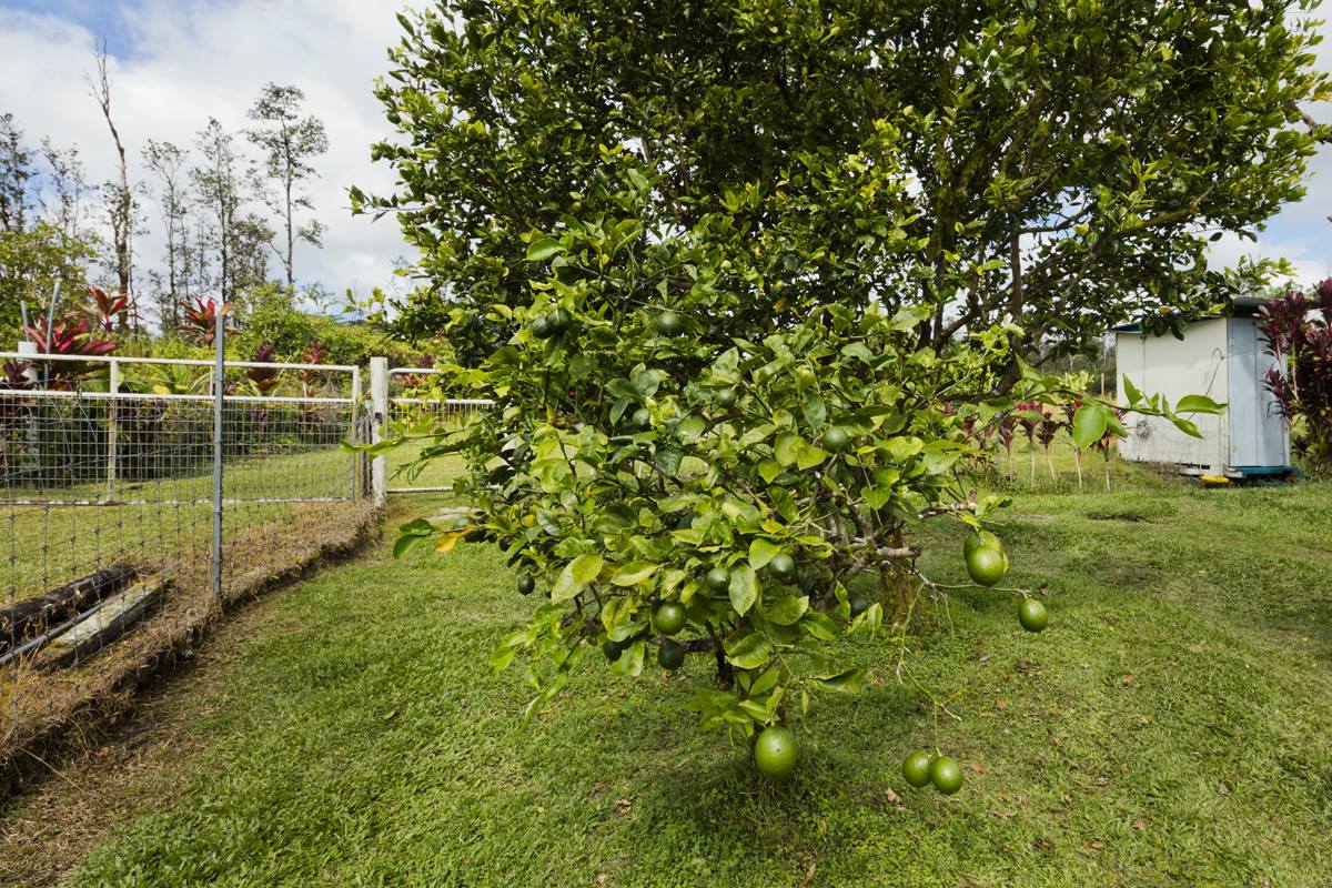 16-1794 Uau Rd, Mountain View, HI 96760