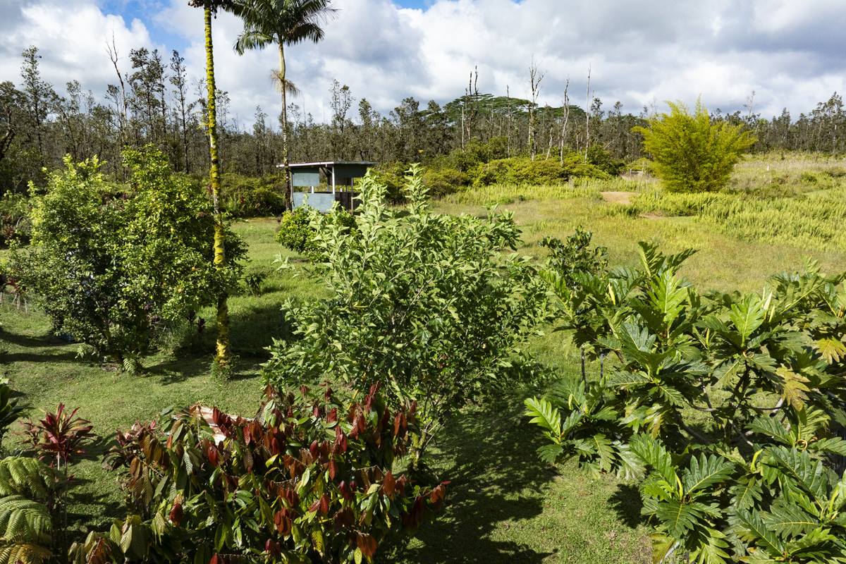 16-1794 Uau Rd, Mountain View, HI 96760