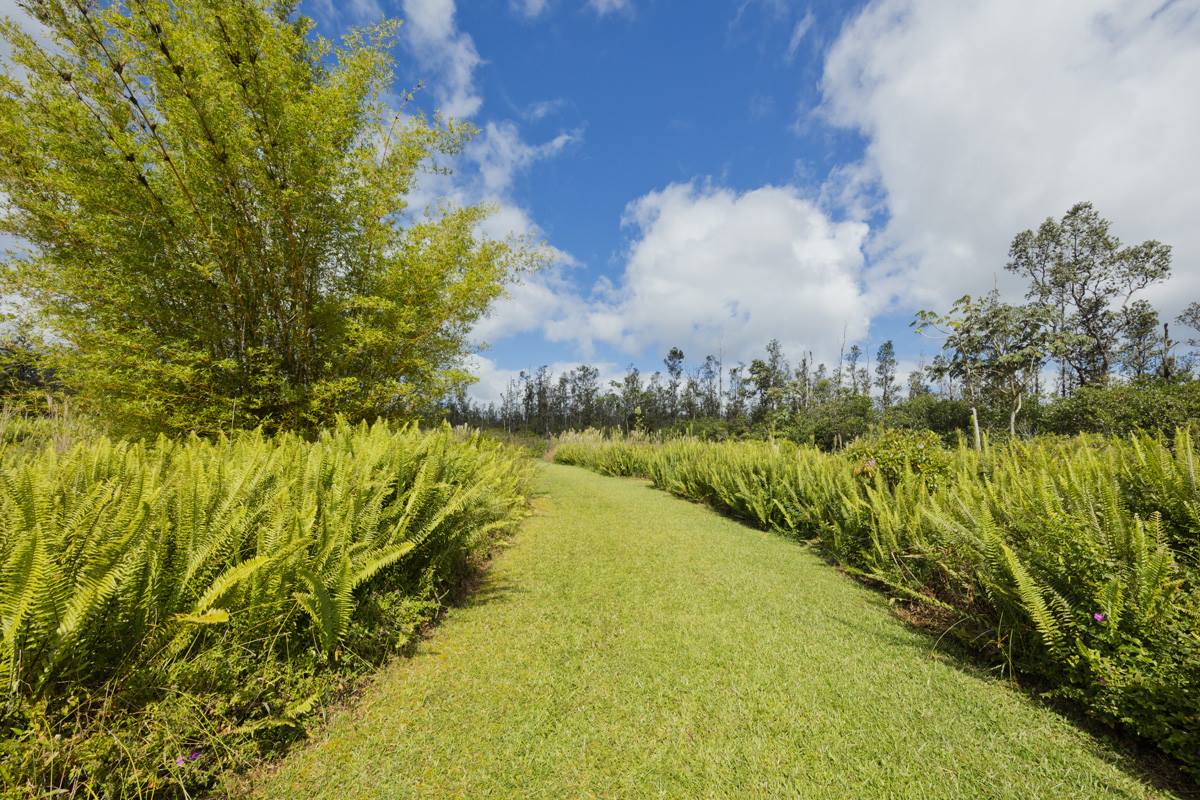 16-1794 Uau Rd, Mountain View, HI 96760