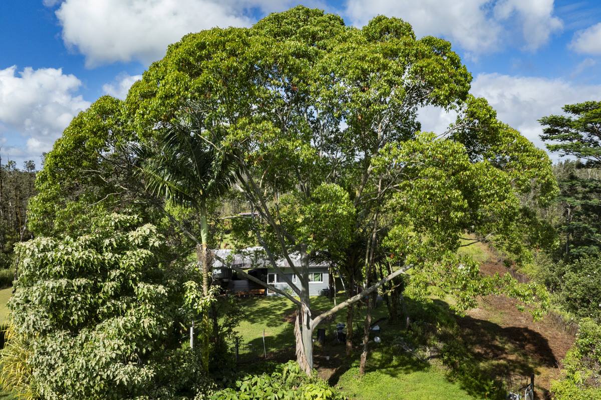 16-1794 Uau Rd, Mountain View, HI 96760