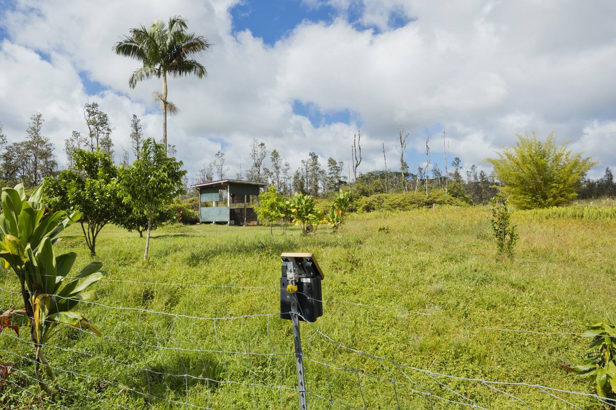 16-1794 Uau Rd, Mountain View, HI 96760