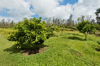 16-1794 Uau Rd, Mountain View, HI 96760