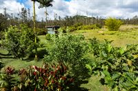 16-1794 Uau Rd, Mountain View, HI 96760