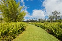 16-1794 Uau Rd, Mountain View, HI 96760