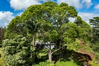 16-1794 Uau Rd, Mountain View, HI 96760