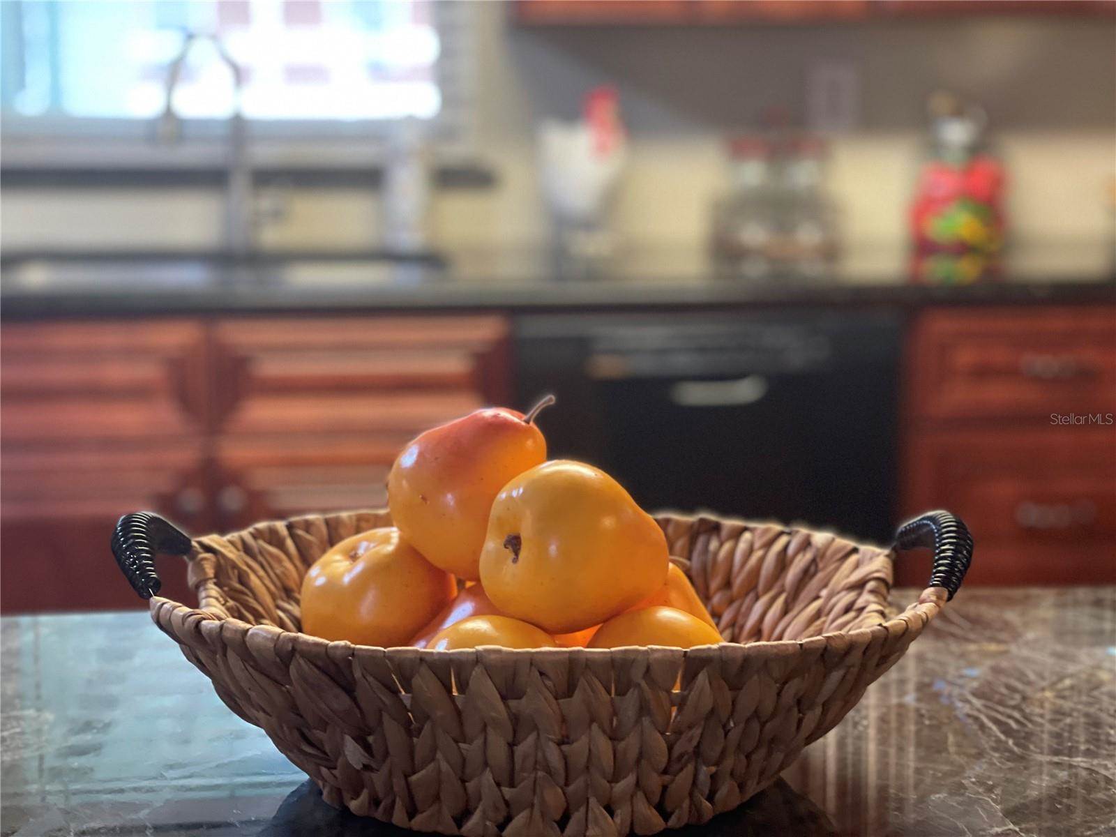 35444 Chancey Road, Zephyrhills, FL 33541