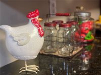 35444 Chancey Road, Zephyrhills, FL 33541