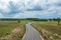 Tbd Rosa Court, Sunset, LA 70584