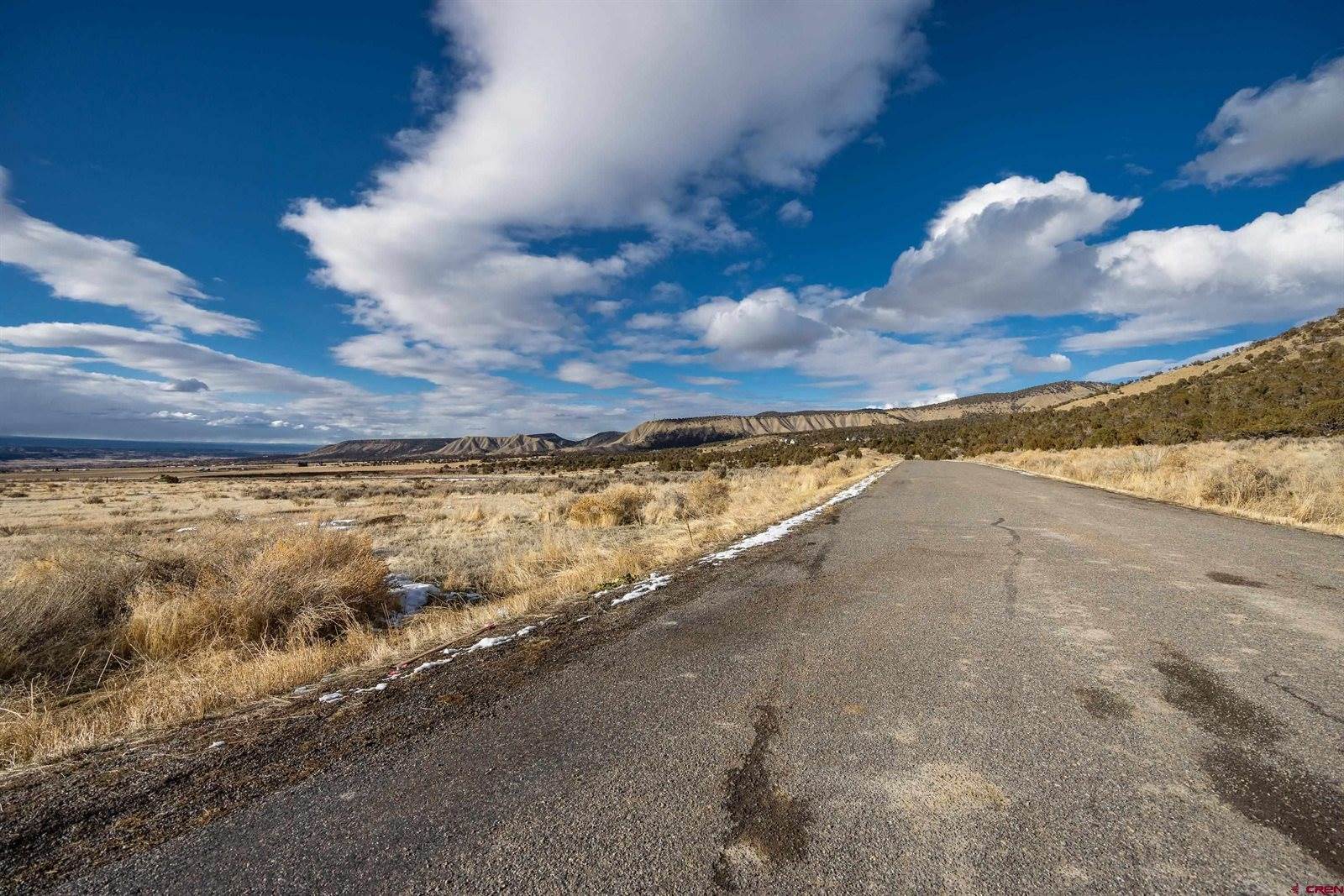 TBD Lot 23 Buckhorn Road, Montrose, CO 81403