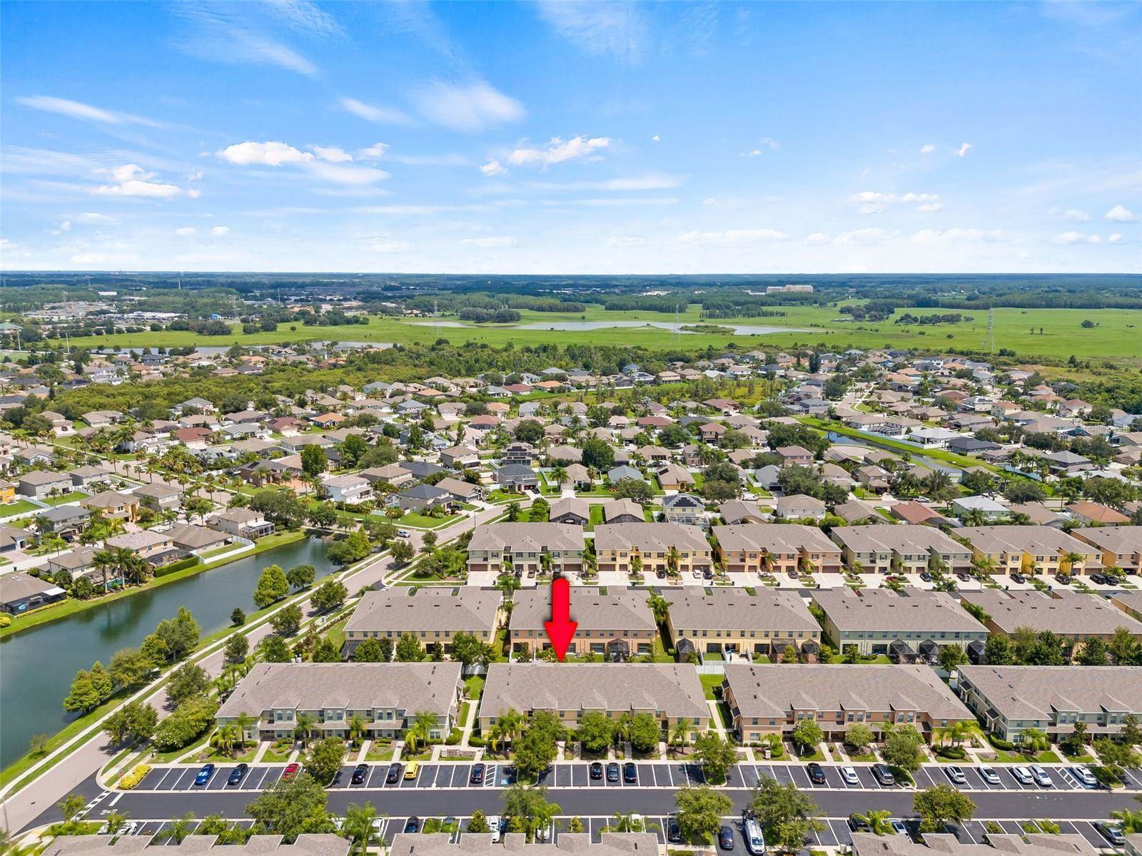 9856 Trumpet Vine Loop, Trinity, FL 34655