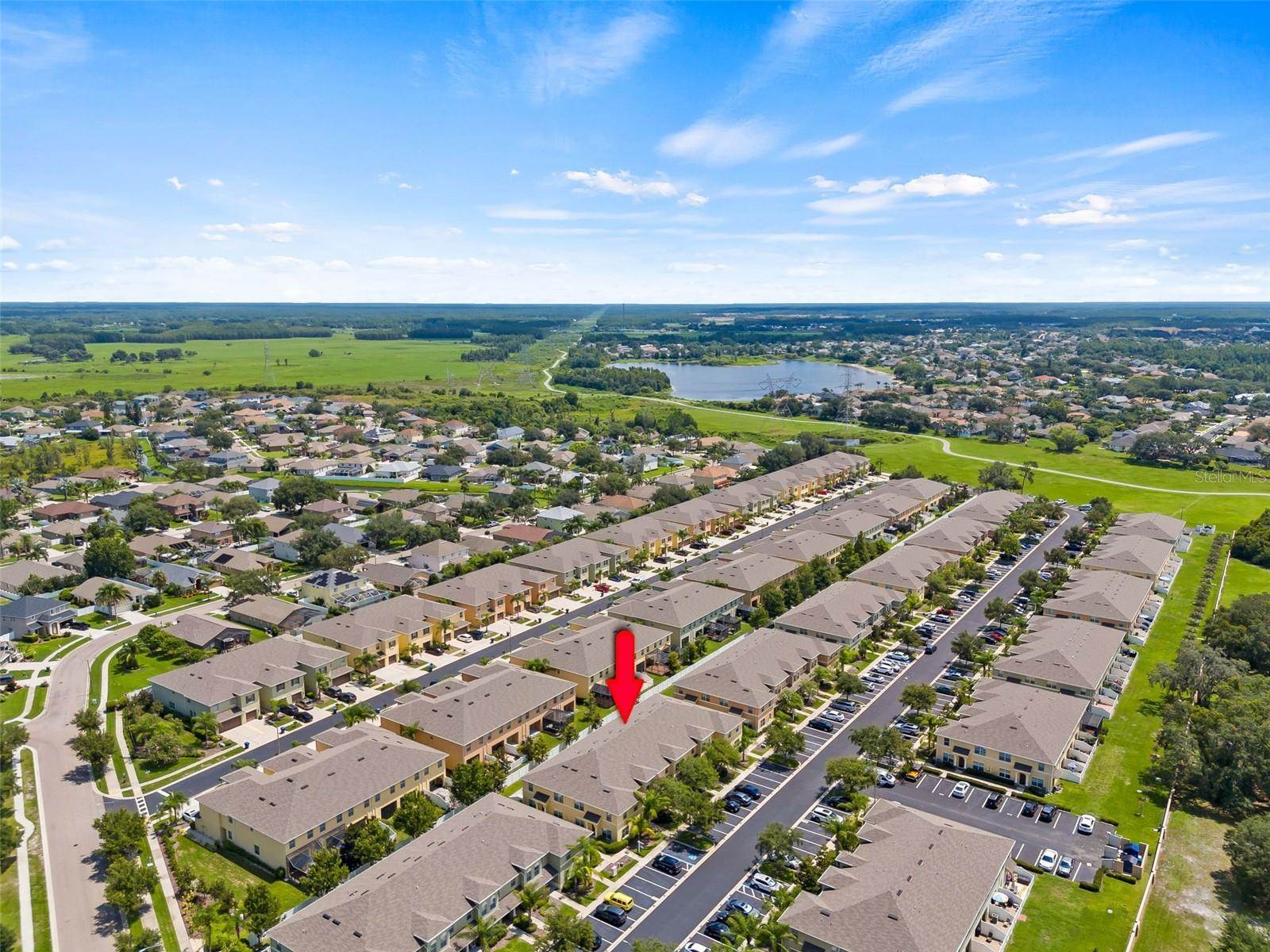 9856 Trumpet Vine Loop, Trinity, FL 34655