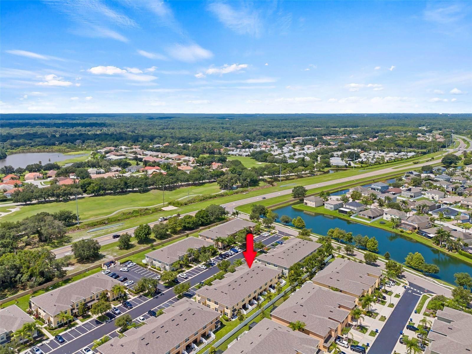 9856 Trumpet Vine Loop, Trinity, FL 34655