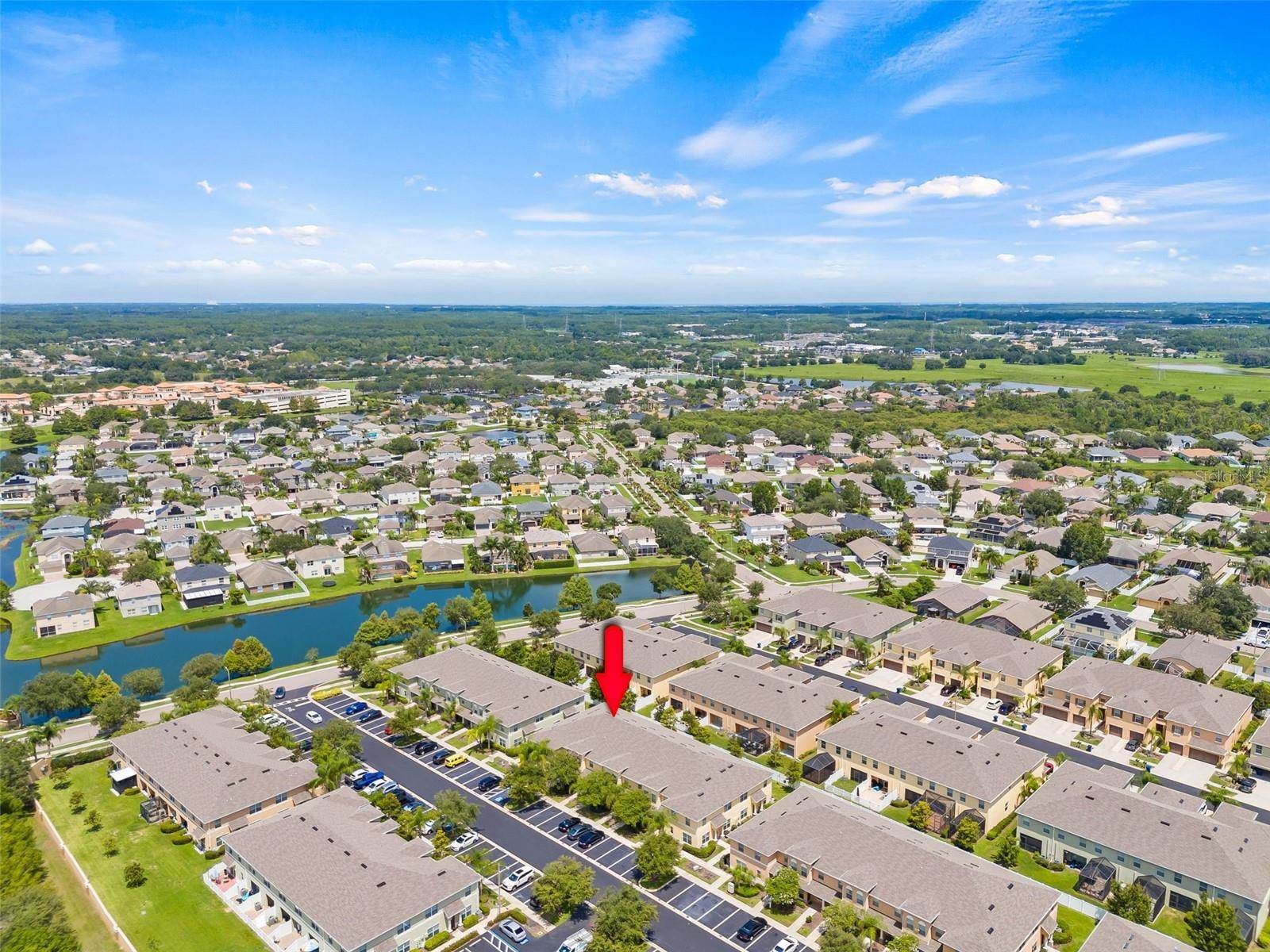 9856 Trumpet Vine Loop, Trinity, FL 34655