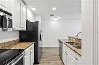 9856 Trumpet Vine Loop, Trinity, FL 34655