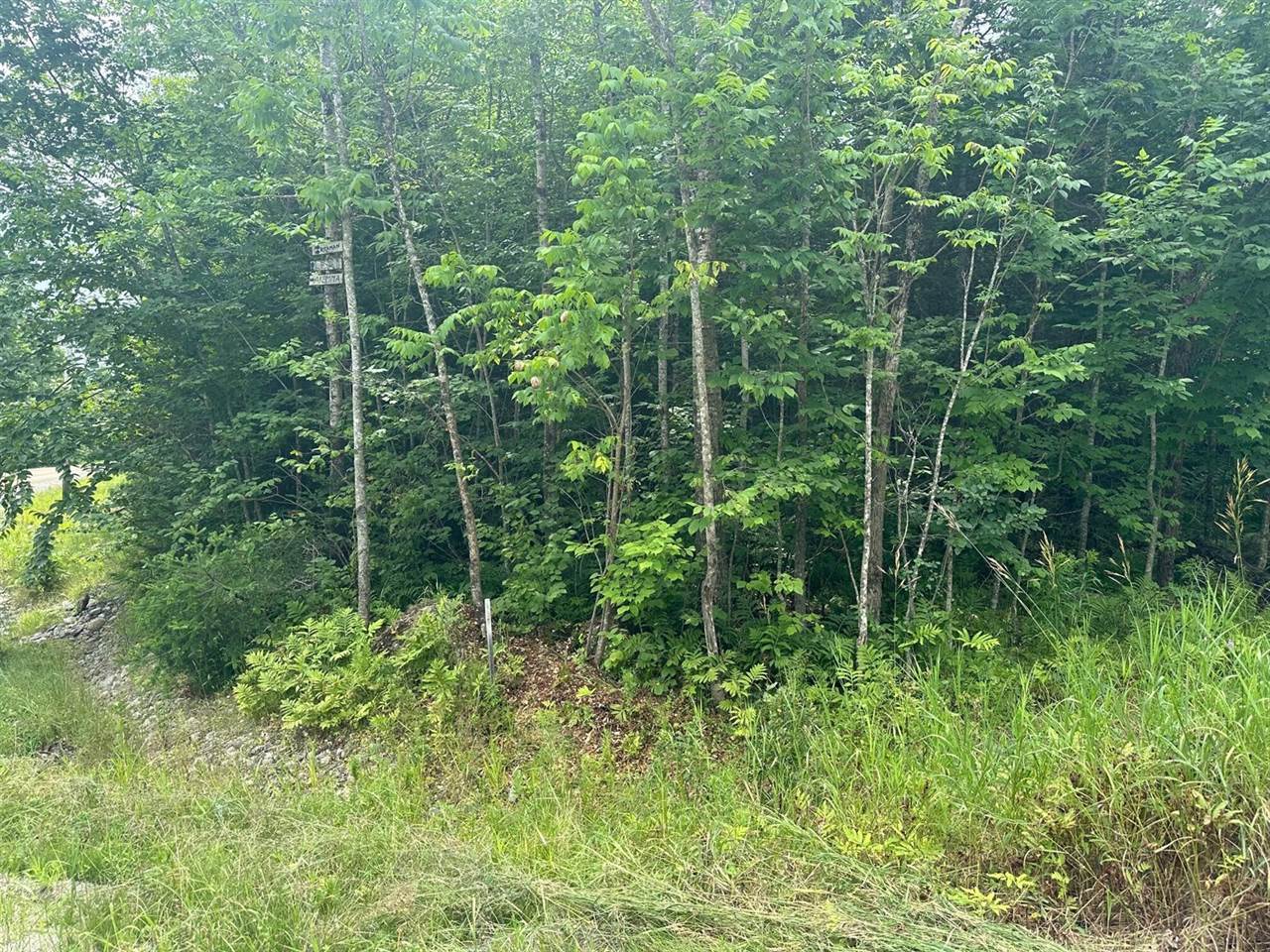 Lot 7 Winkumpaugh Corners, Orland, ME 04472