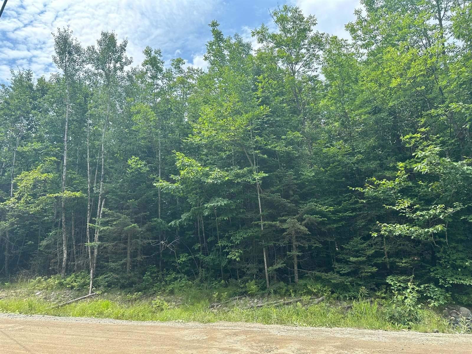 Lot 7 Winkumpaugh Corners, Orland, ME 04472