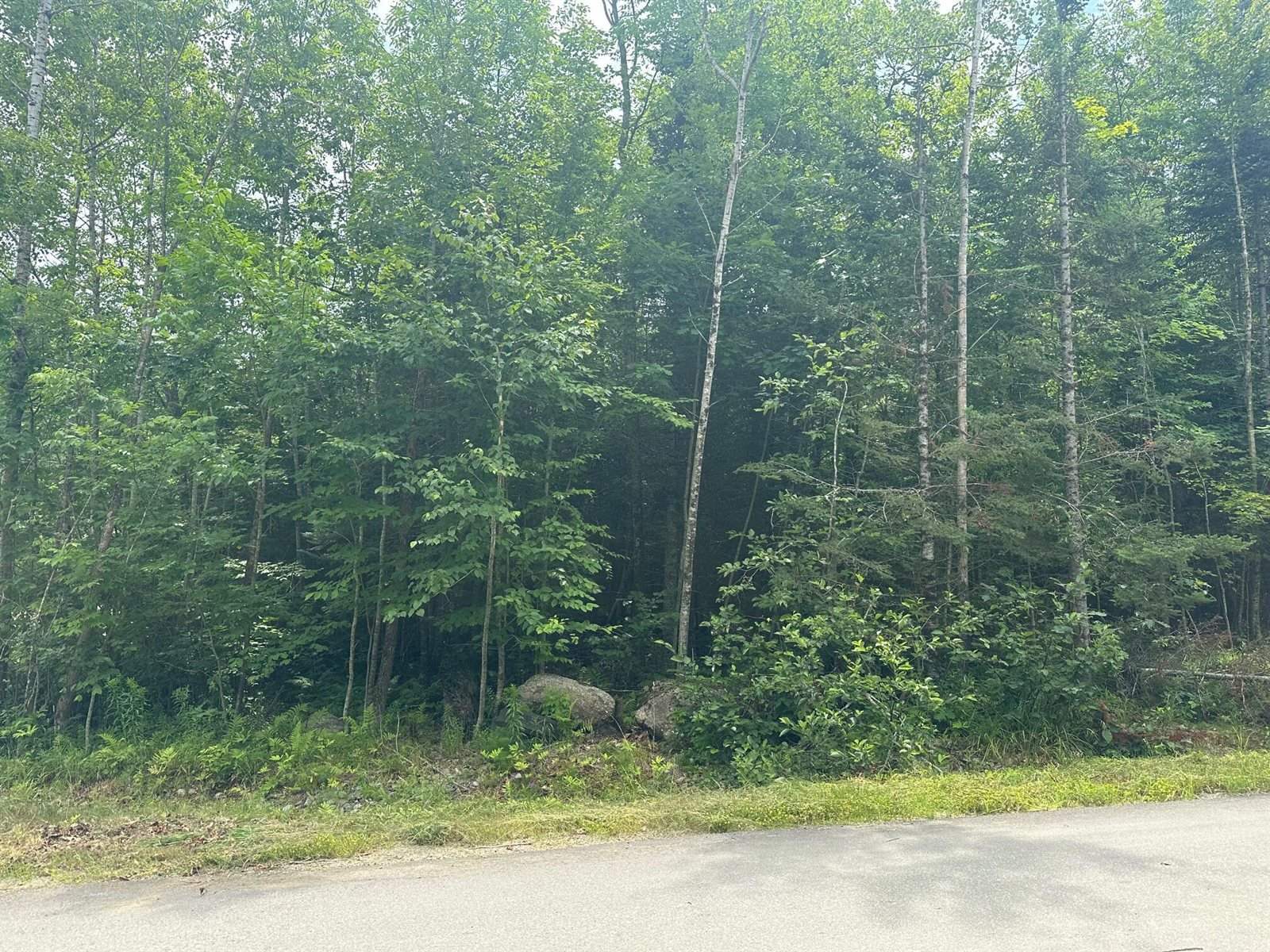 Lot 7 Winkumpaugh Corners, Orland, ME 04472