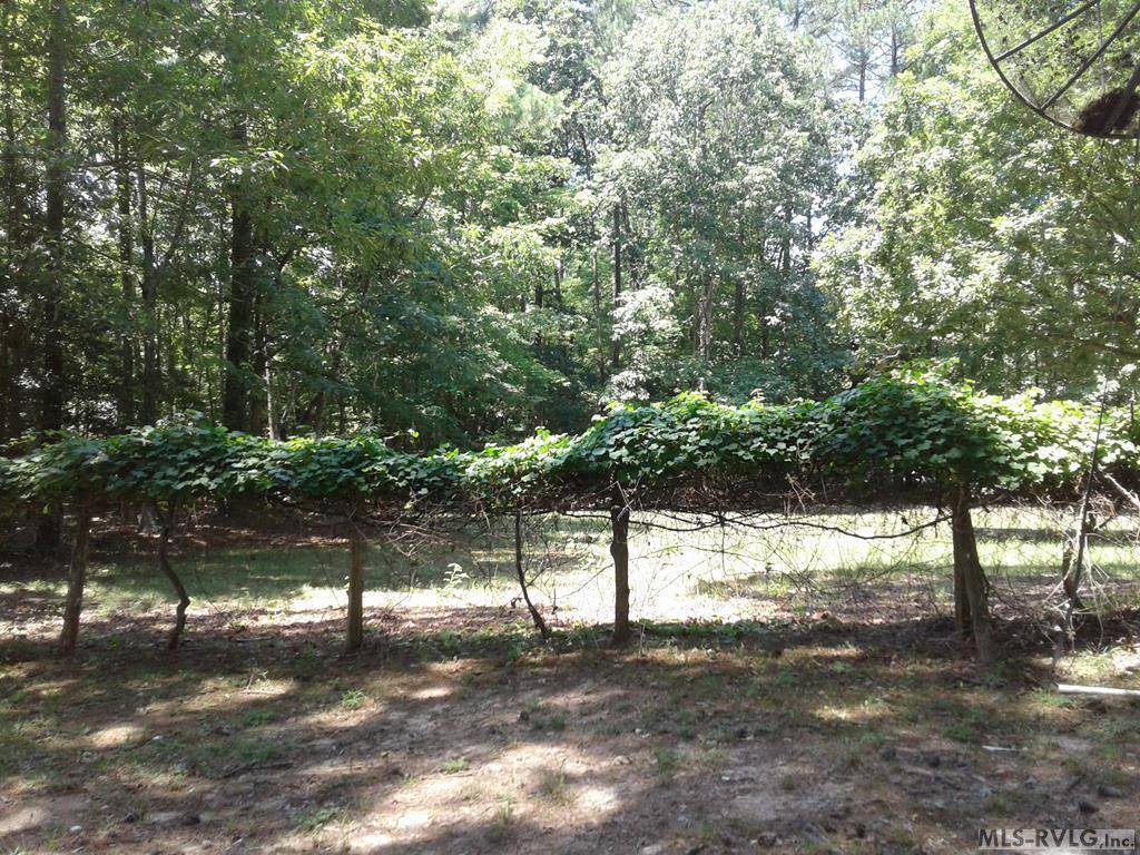 100 Jamestown Lane, Bracey, VA 23919