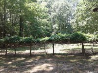 100 Jamestown Lane, Bracey, VA 23919