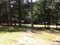 100 Jamestown Lane, Bracey, VA 23919