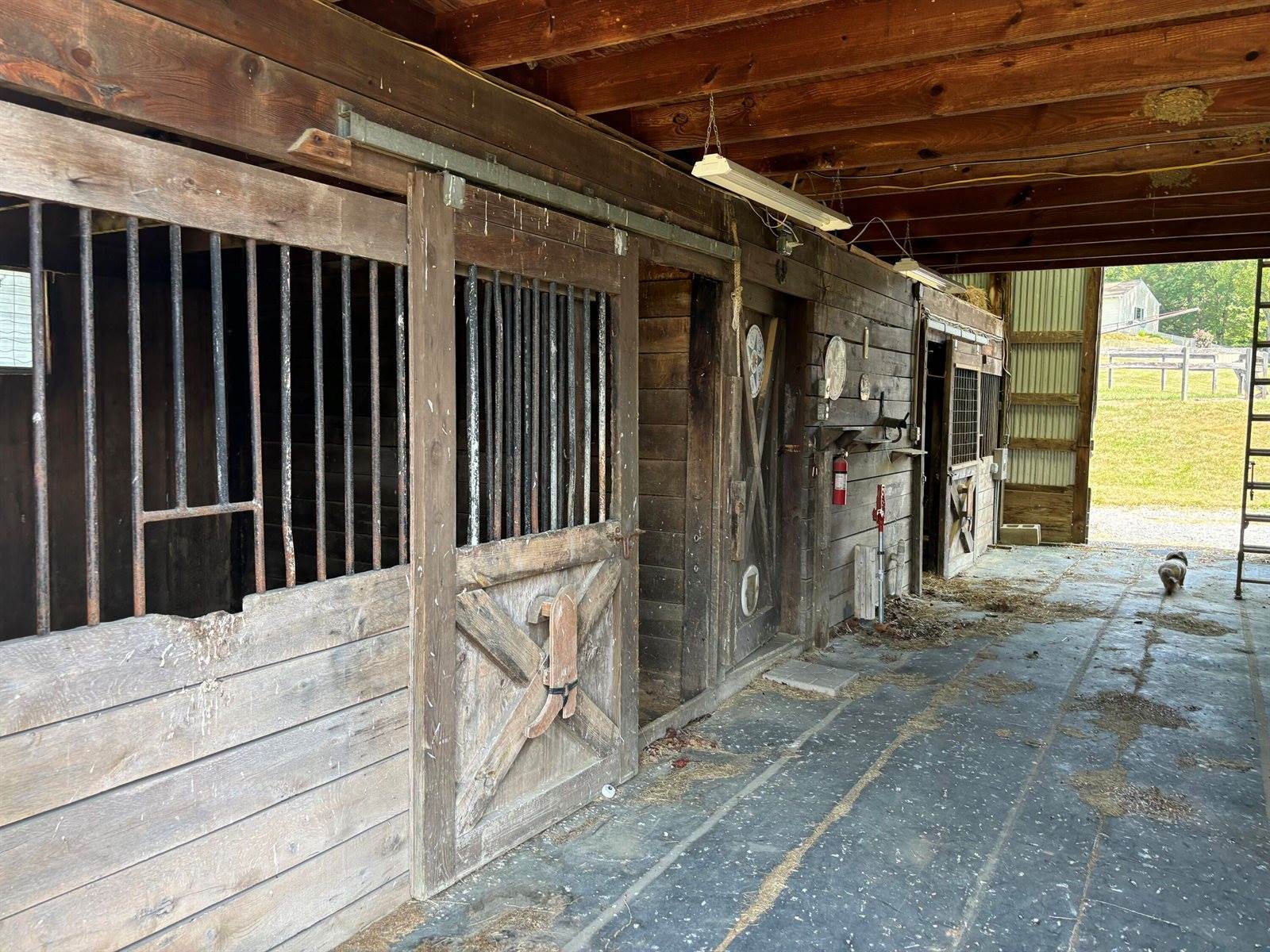 1365 Oak Ridge Rd, Buchanan, VA 24066