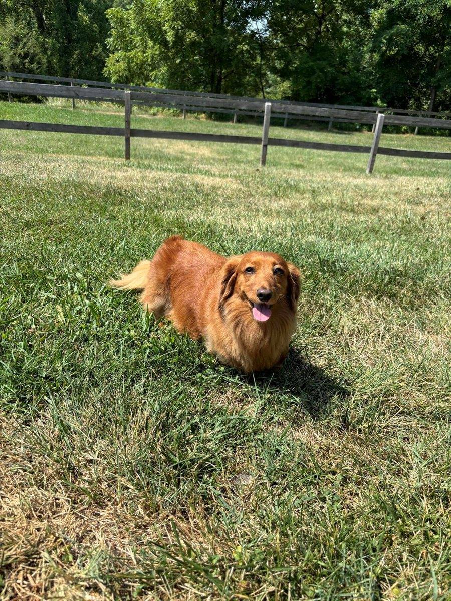 1365 Oak Ridge Rd, Buchanan, VA 24066