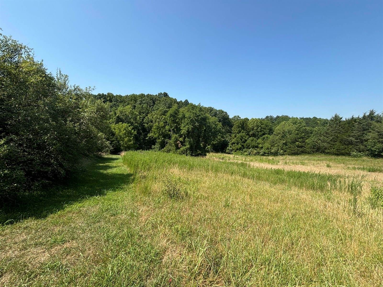 1365 Oak Ridge Rd, Buchanan, VA 24066