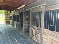 1365 Oak Ridge Rd, Buchanan, VA 24066