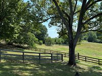 1365 Oak Ridge Rd, Buchanan, VA 24066