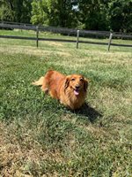 1365 Oak Ridge Rd, Buchanan, VA 24066