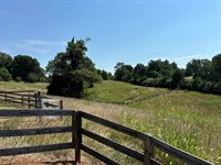 1365 Oak Ridge Rd, Buchanan, VA 24066