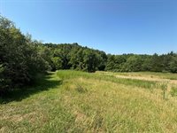 1365 Oak Ridge Rd, Buchanan, VA 24066