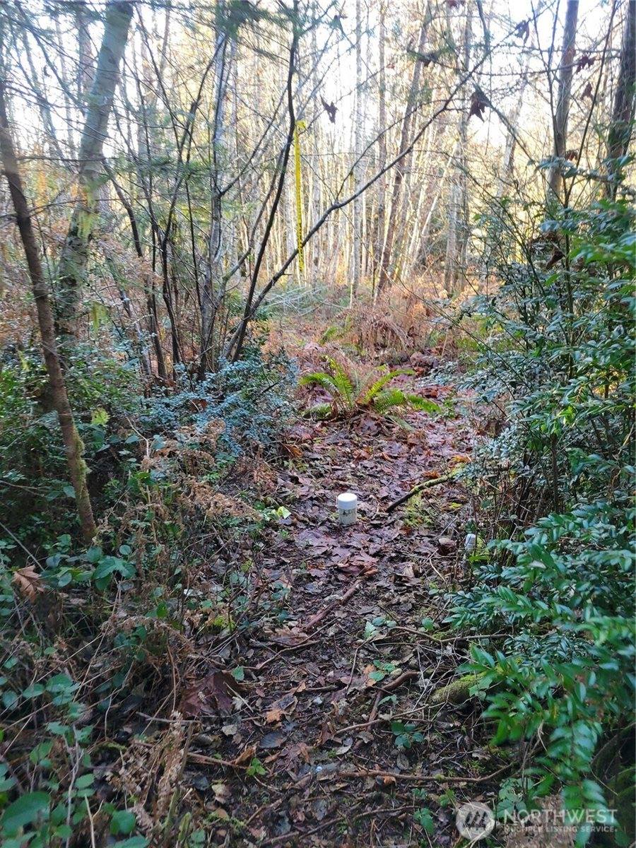 930 East Wilson Way, Grapeview, WA 98546