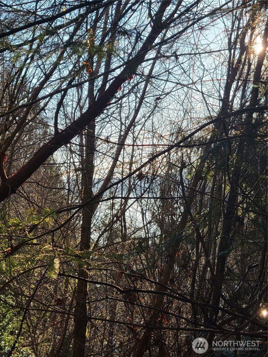 930 East Wilson Way, Grapeview, WA 98546