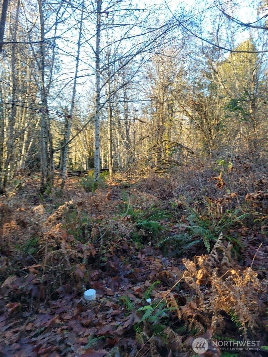 930 East Wilson Way, Grapeview, WA 98546