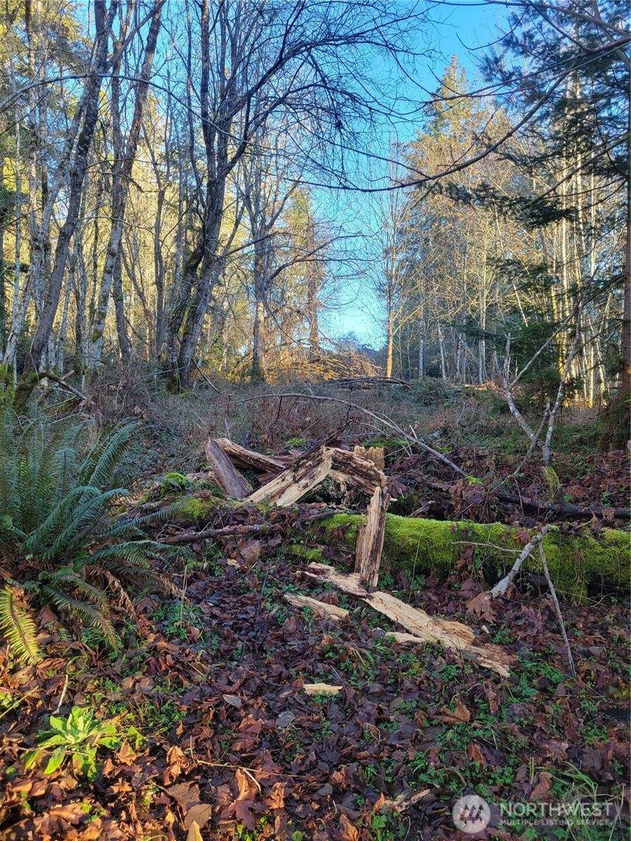 930 East Wilson Way, Grapeview, WA 98546