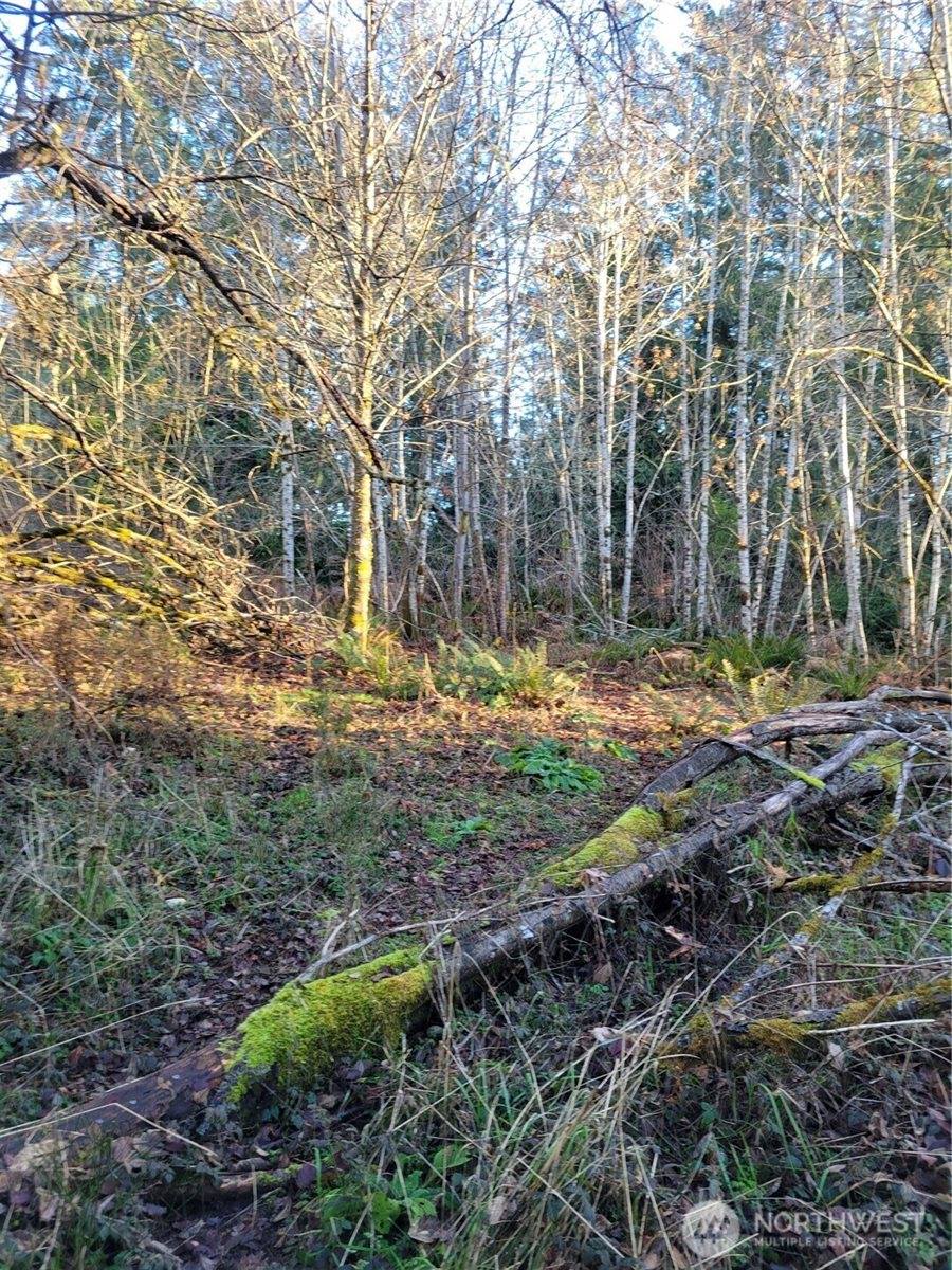 930 East Wilson Way, Grapeview, WA 98546