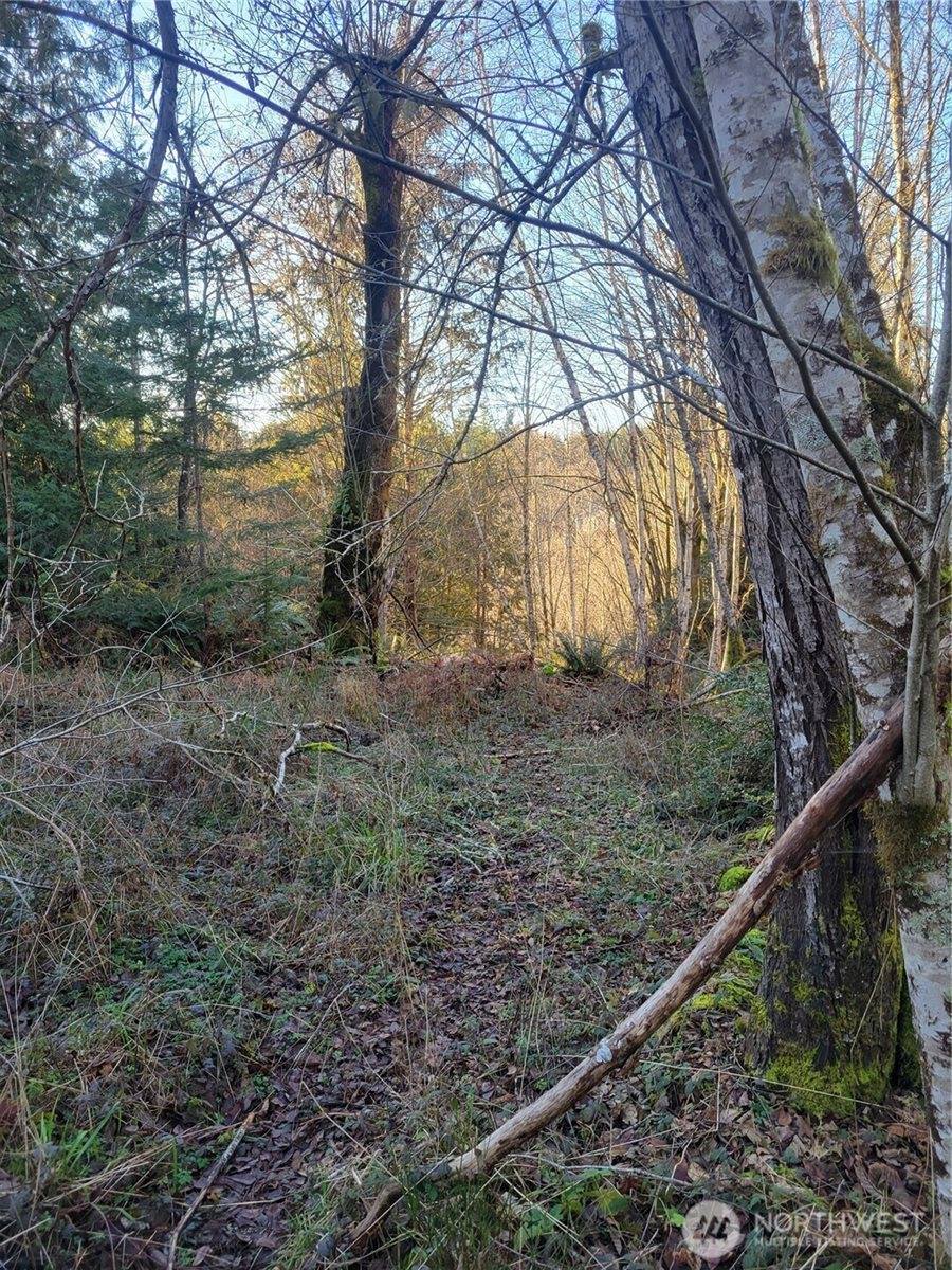 930 East Wilson Way, Grapeview, WA 98546