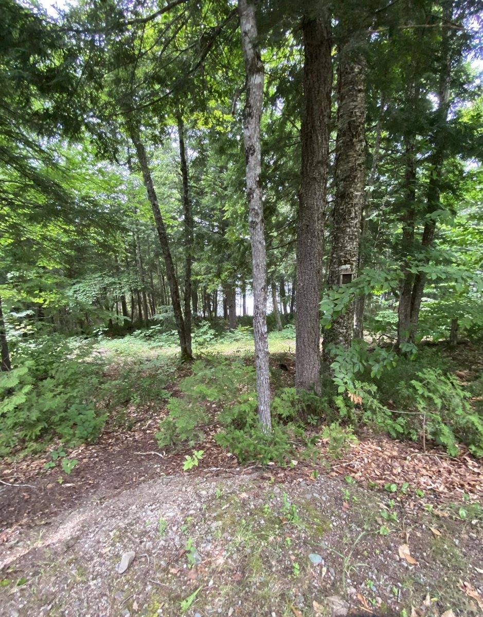 80 Ivey Lane, Oakfield, ME 04763