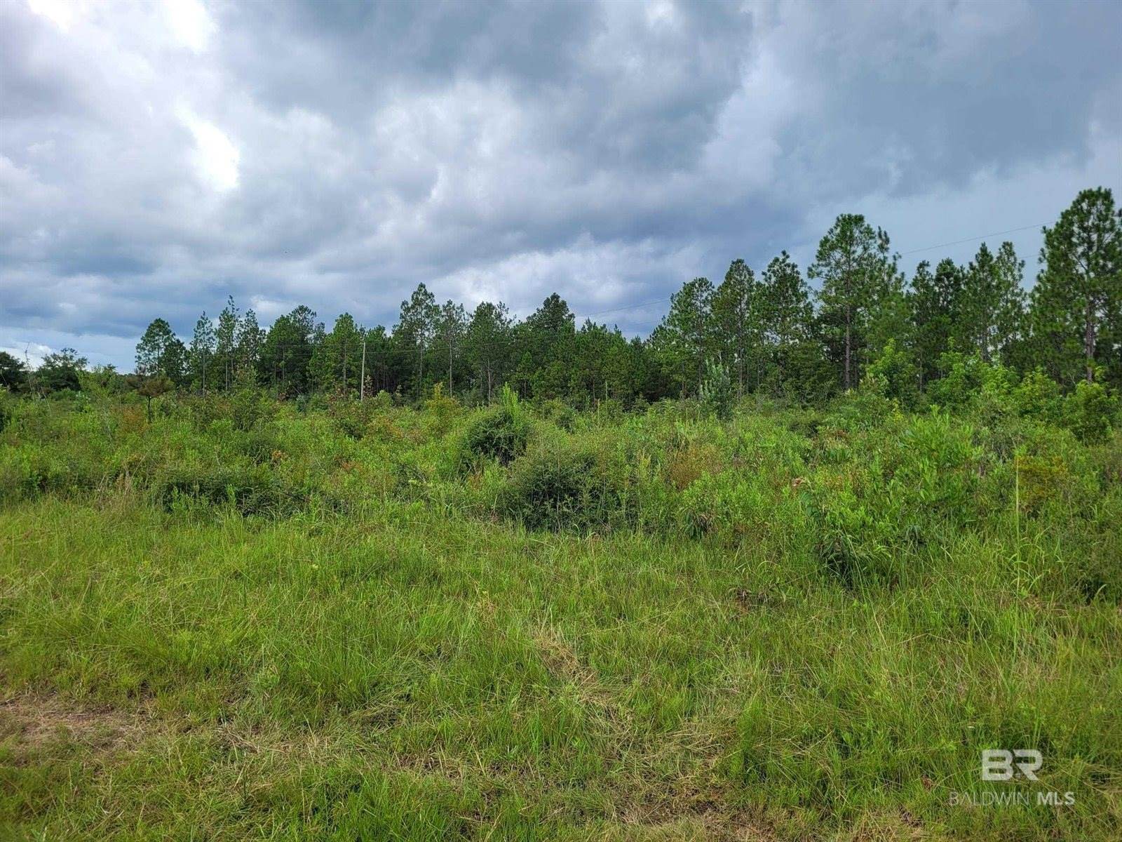 39449 South State Highway 59, Bay Minette, AL 36507