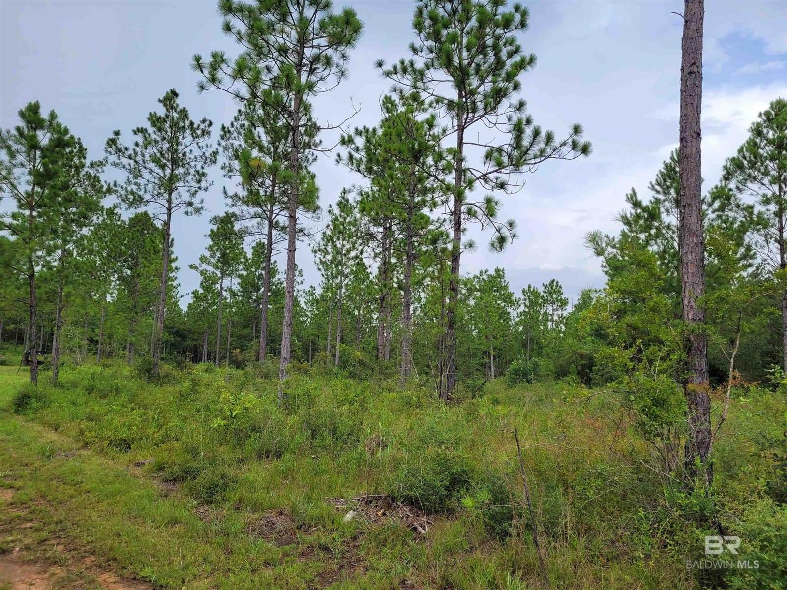 39449 South State Highway 59, Bay Minette, AL 36507